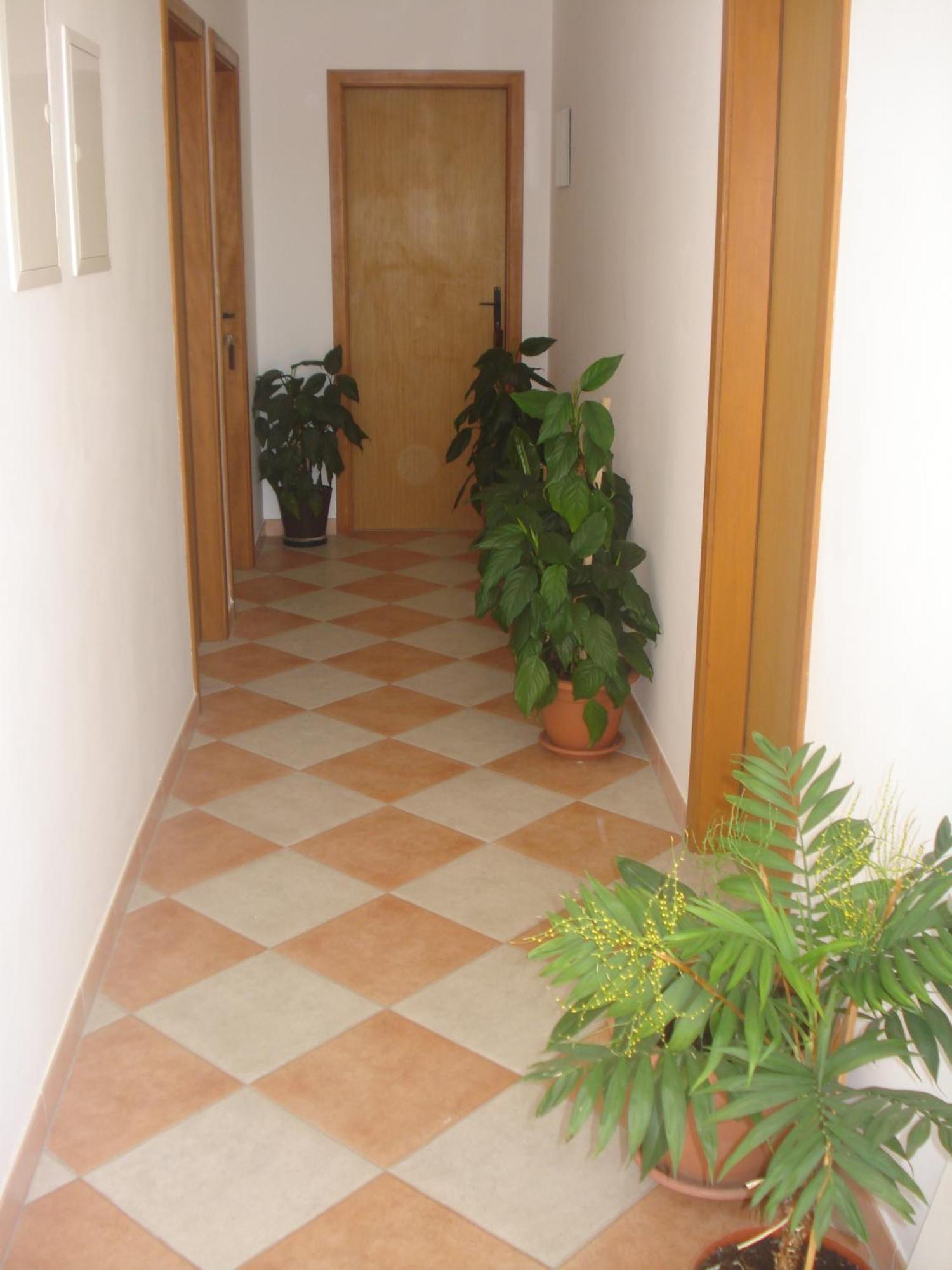 Sućuraj Apartments San Giorgio מראה חיצוני תמונה